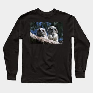 Tawny Frogmouth babies Long Sleeve T-Shirt